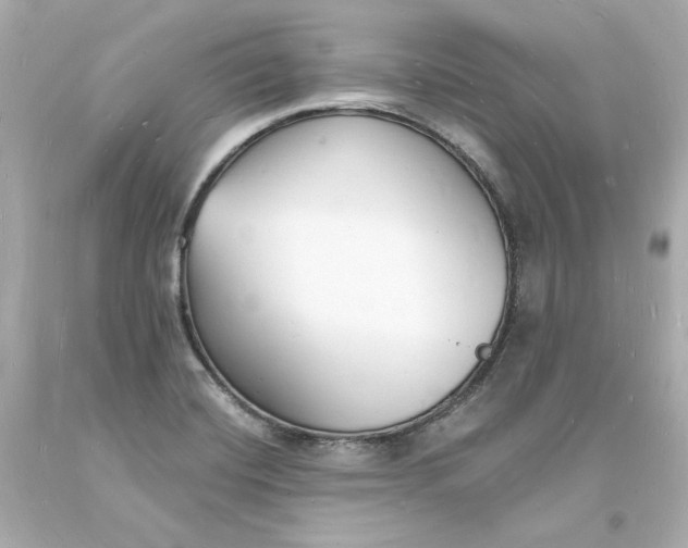 X0000093601420200710291134