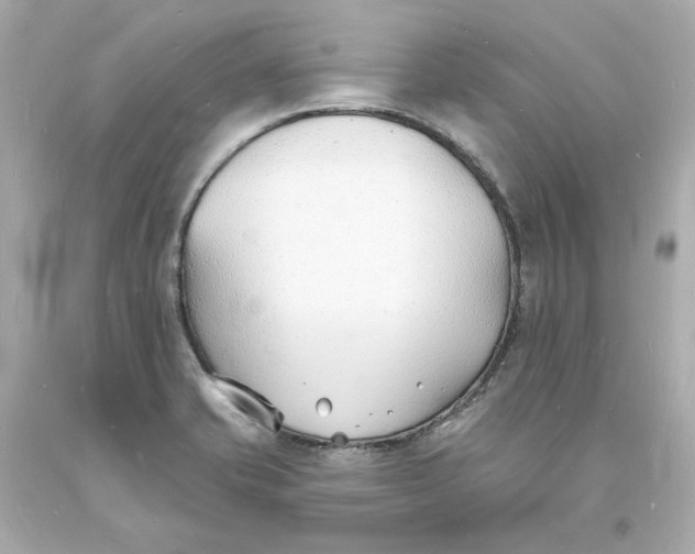 X0000093601421200710291134