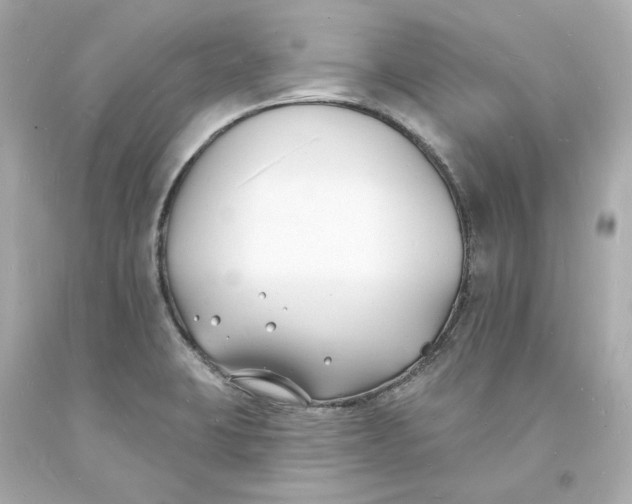 X0000093601423200710291134