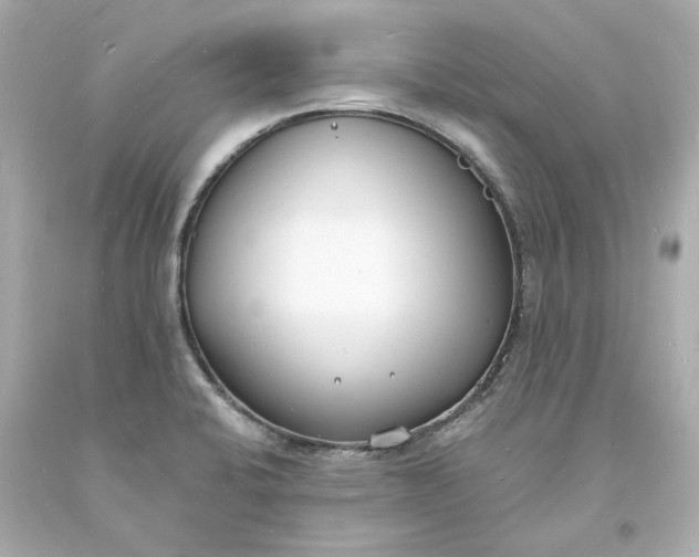 X0000093601424200710291134