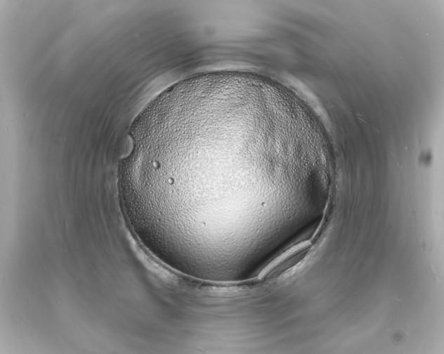 X0000093601425200710291134