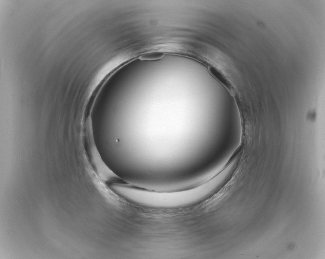 X0000093601426200710291134