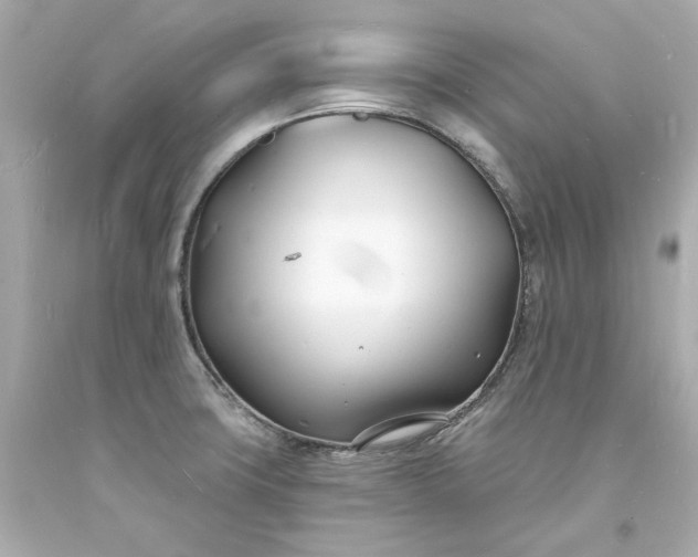 X0000093601427200710291134