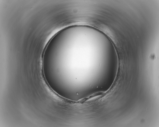 X0000093601428200710291134