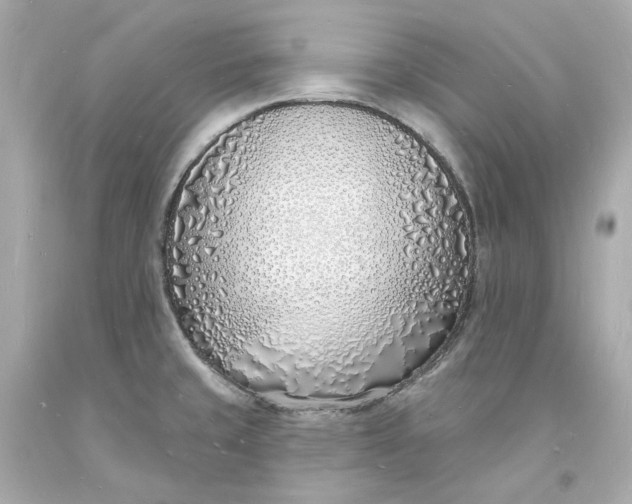 X0000093601429200710291134