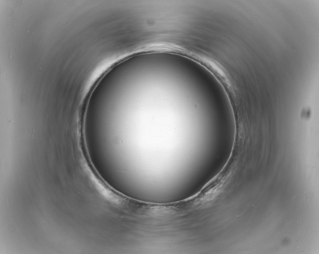 X0000093601430200710291134