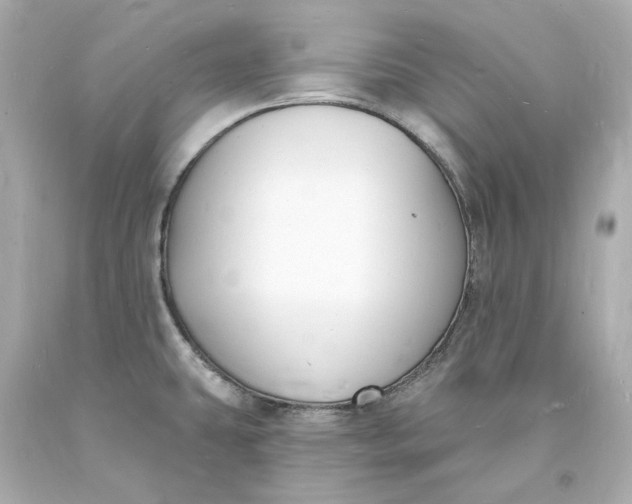 X0000093601431200710291134