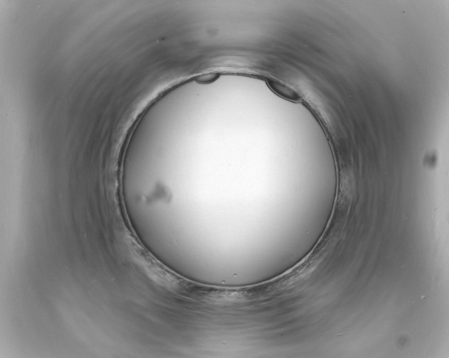 X0000093601435200710291134