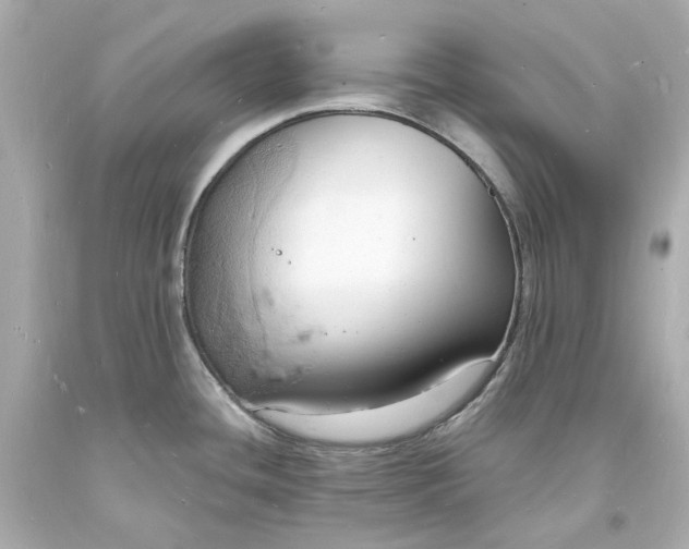 X0000093601436200710291134