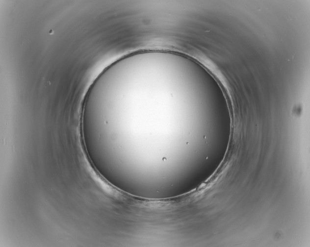 X0000093601437200710291134