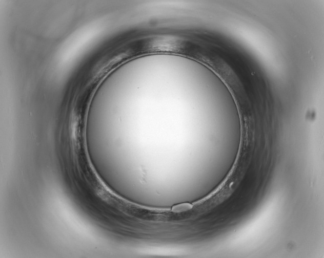 X0000093601438200710291134