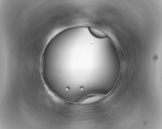 X0000093601439200710291134