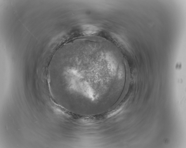 X0000093601441200710291134