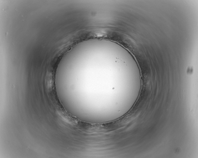 X0000093601442200710291134