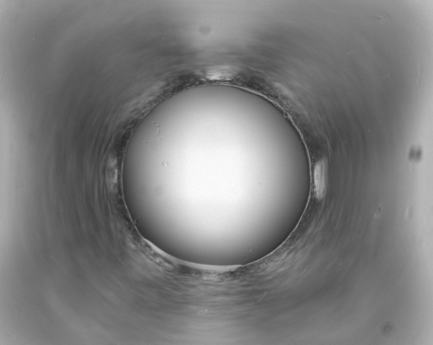 X0000093601443200710291134