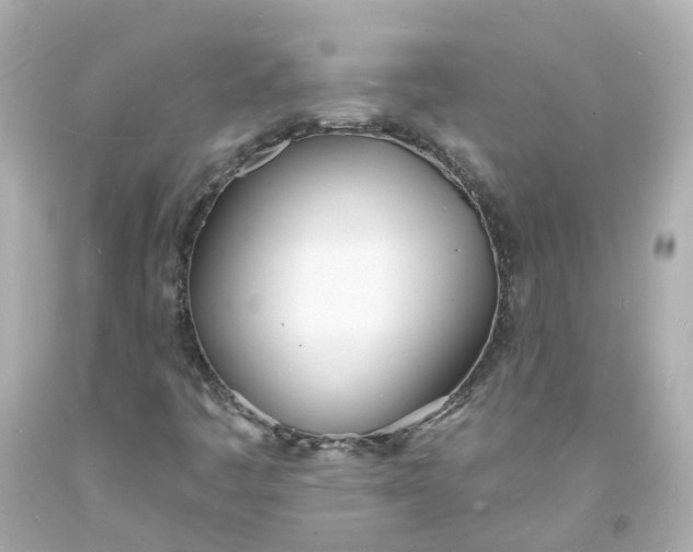 X0000093601445200710291133