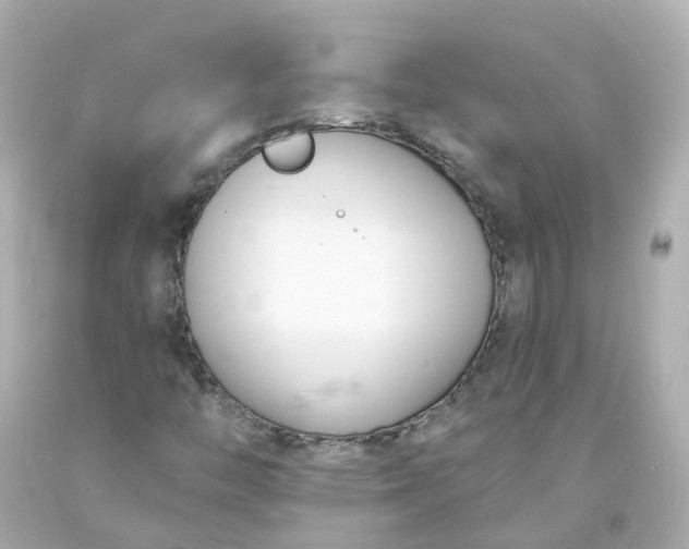 X0000093601446200710291133