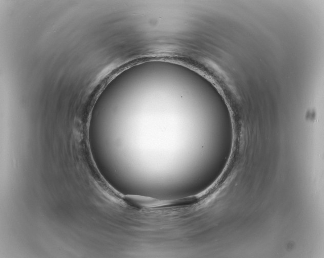 X0000093601449200710291133