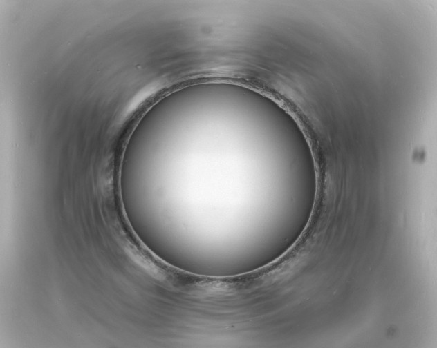 X0000093601450200710291133