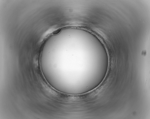 X0000093601451200710291133