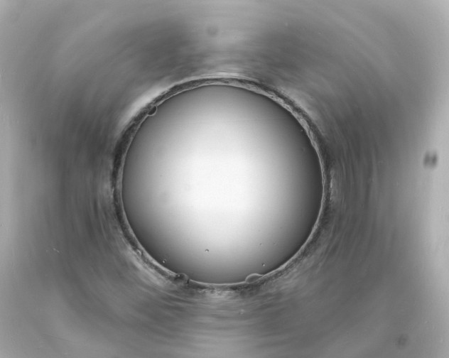 X0000093601452200710291133