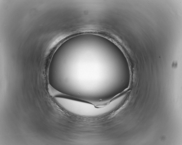 X0000093601453200710291133