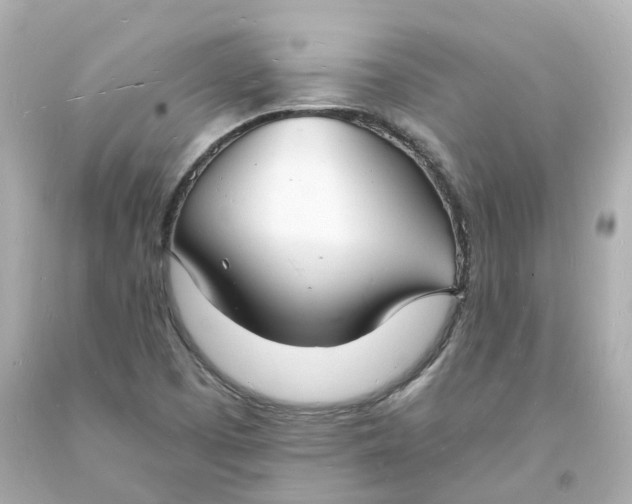 X0000093601457200710291133