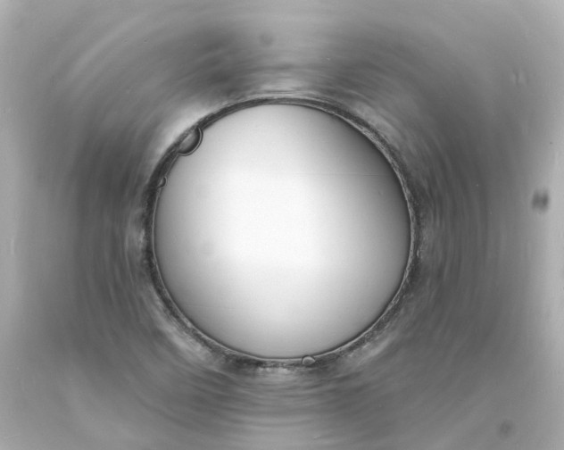 X0000093601458200710291133