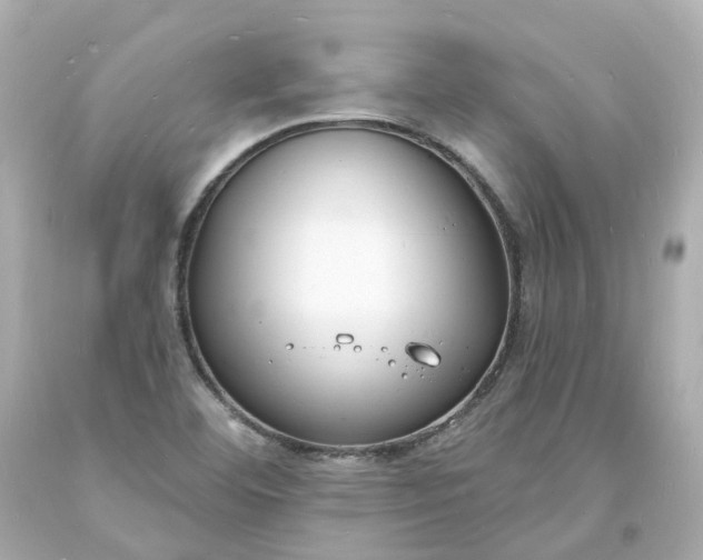 X0000093601460200710291133