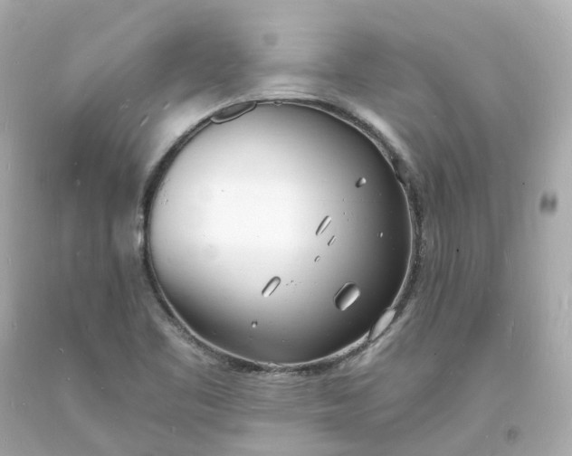 X0000093601461200710291133