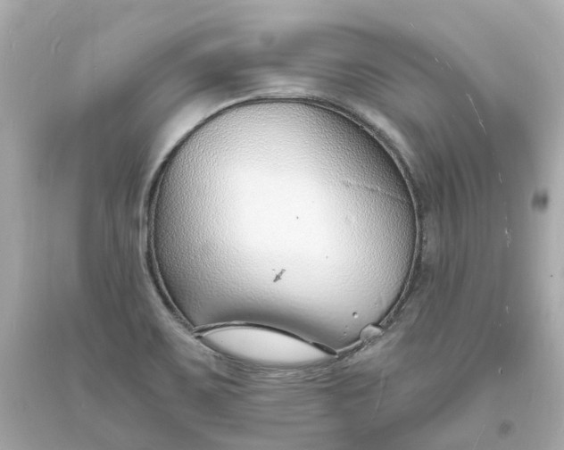 X0000093601467200710291133