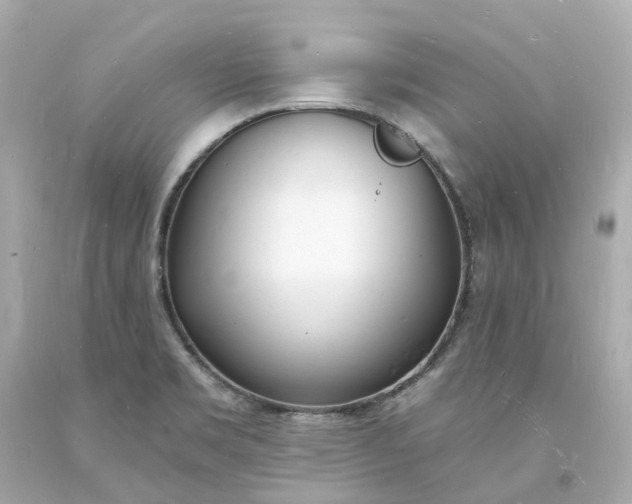 X0000093601469200710291133