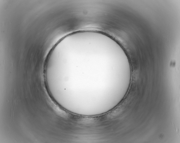 X0000093601470200710291133