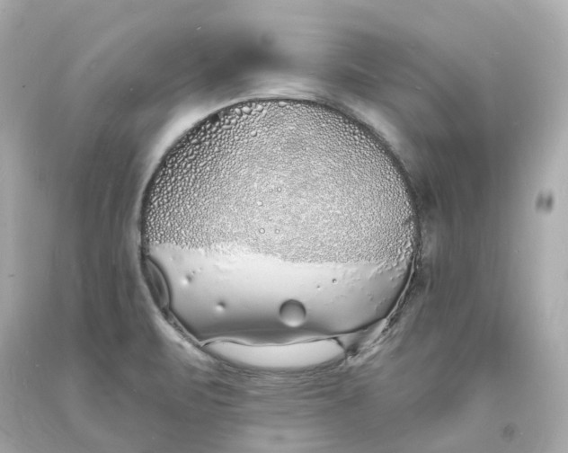 X0000093601471200710291133