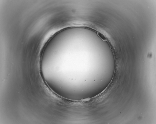 X0000093601472200710291133