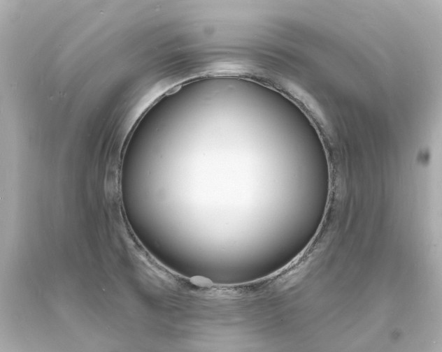 X0000093601473200710291133