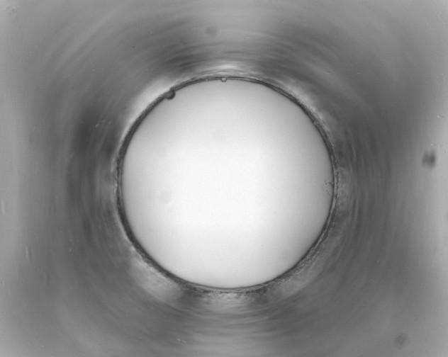 X0000093601474200710291133