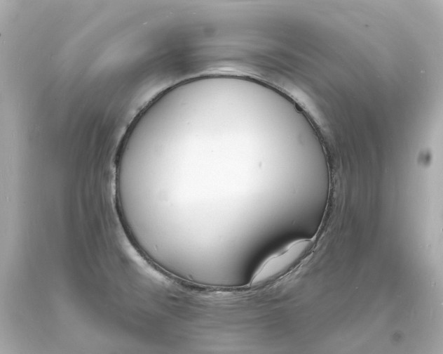 X0000093601476200710291133