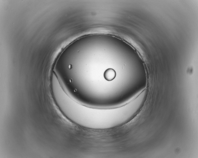 X0000093601477200710291133