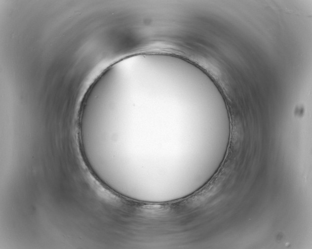 X0000093601478200710291133