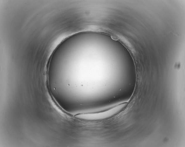 X0000093601479200710291133