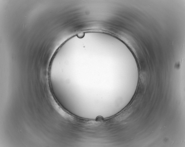 X0000093601482200710291133