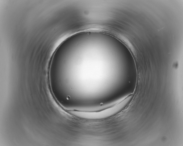 X0000093601483200710291133