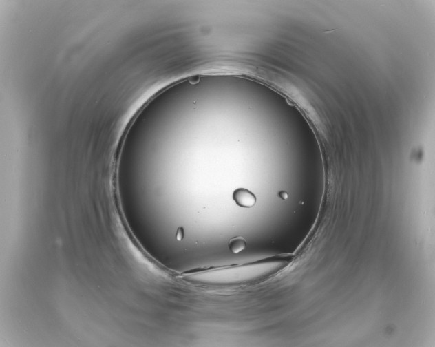 X0000093601484200710291133