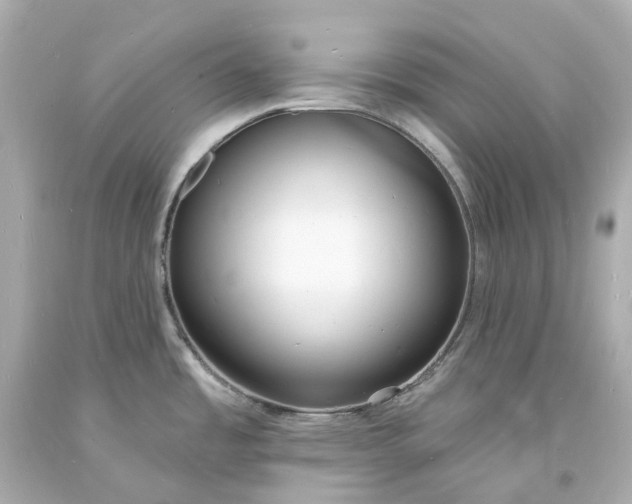 X0000093601485200710291133