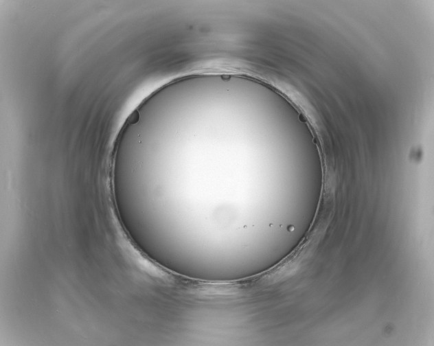 X0000093601486200710291133