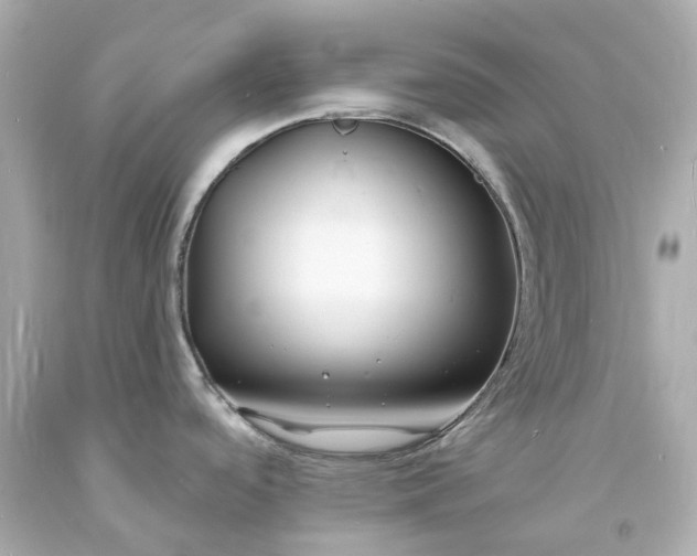 X0000093601488200710291133