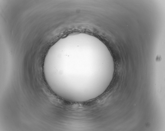 X0000093601489200710291132