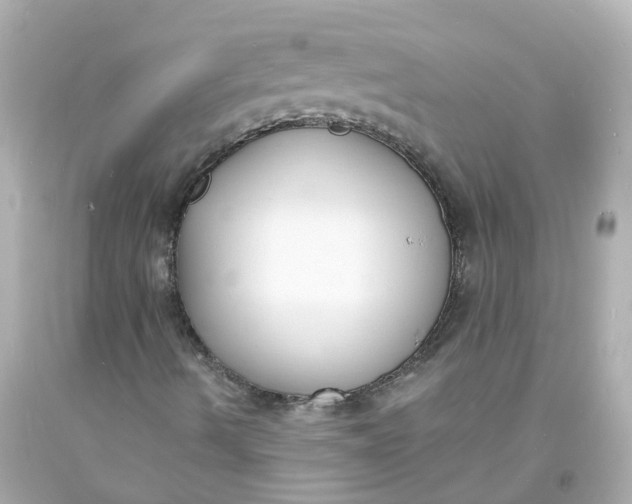 X0000093601490200710291132