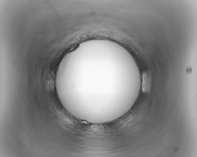 X0000093601491200710291132